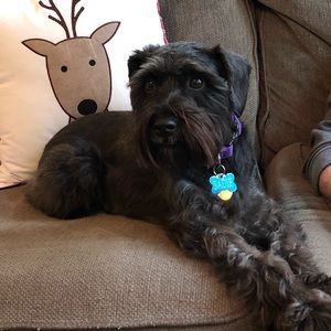 Meet your Posher, Alana